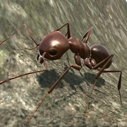 蚂蚁荒野生存模拟最新版游戏